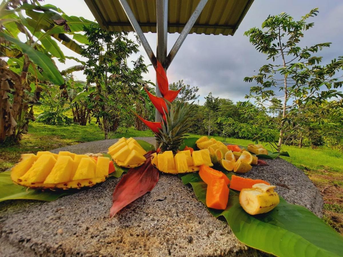 Cabanas Montanas Del Tenorio Rio Celeste Eksteriør billede