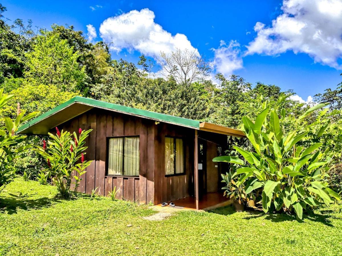 Cabanas Montanas Del Tenorio Rio Celeste Eksteriør billede