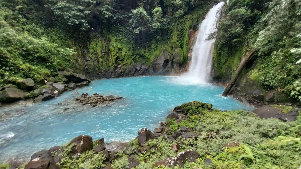 Cabanas Montanas Del Tenorio Rio Celeste Eksteriør billede